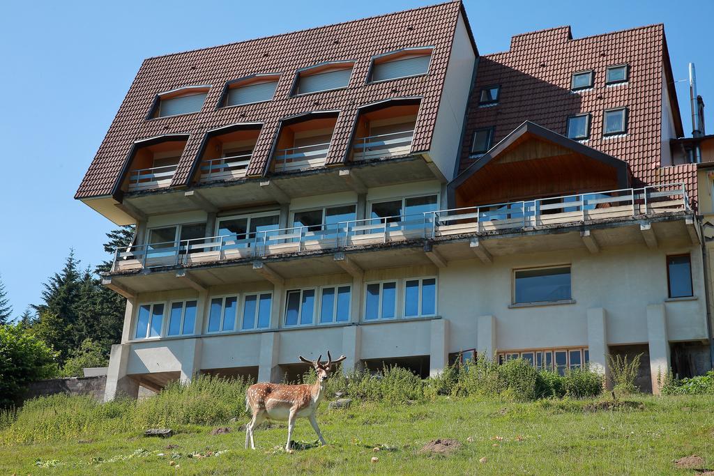 Logis De La Grande Cascade Hotel Le Tholy Bagian luar foto